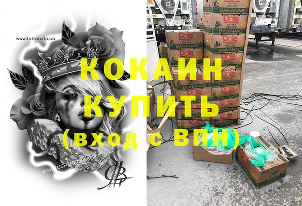 трава Новозыбков